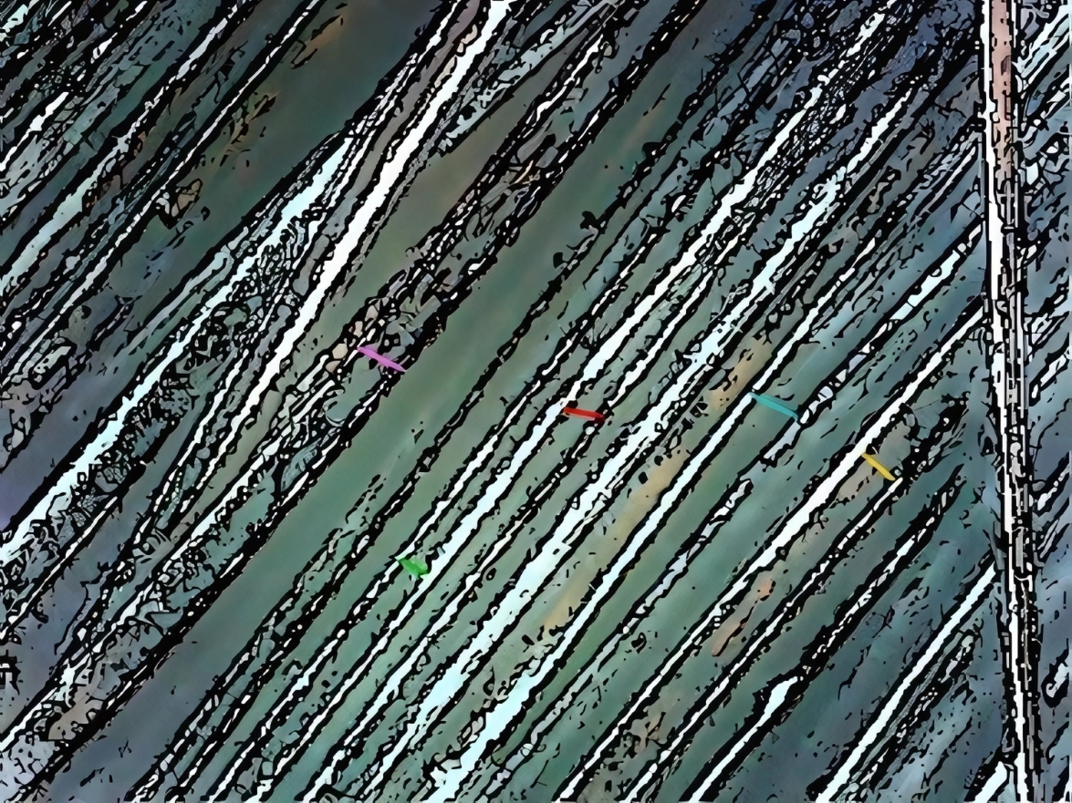 algohair przed