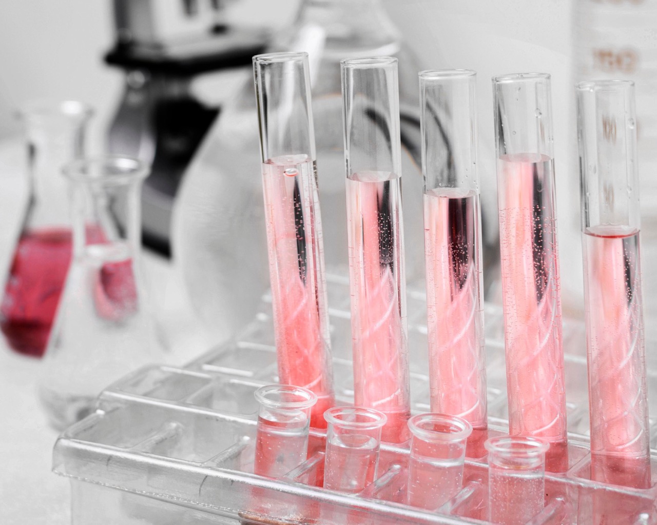 Kolagen w kosmetykach a elastyczność skóry - co warto wiedzieć?